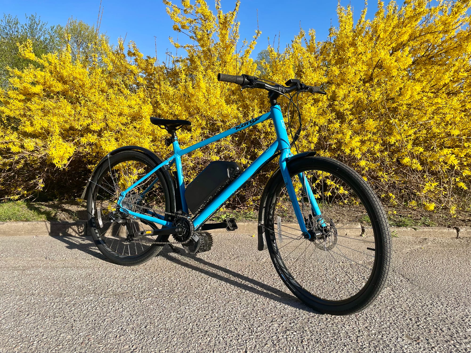 KONA DEW - Full View